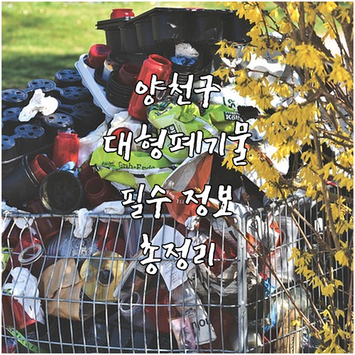 양천구 대형폐기물, 당신이 꼭 알아야..