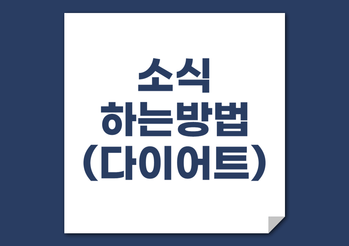 적게 먹고 건강하게! 소식 다이어트의 모든 것
