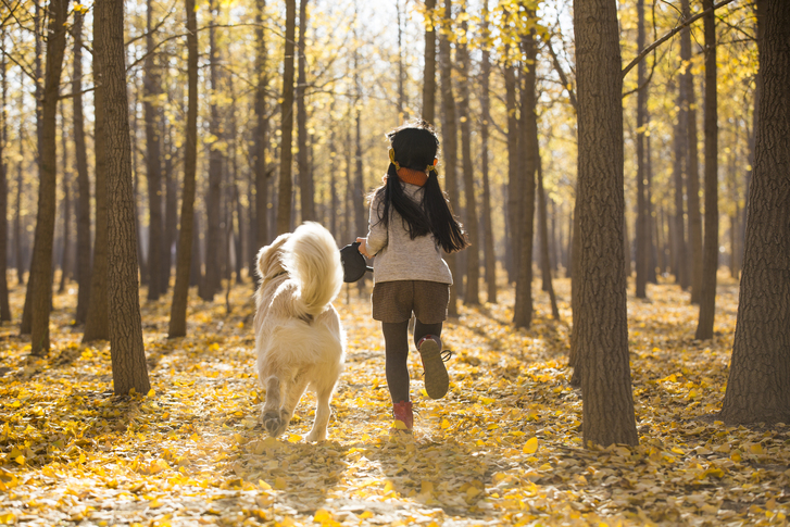 아이와 함께 가면 좋은 숲길