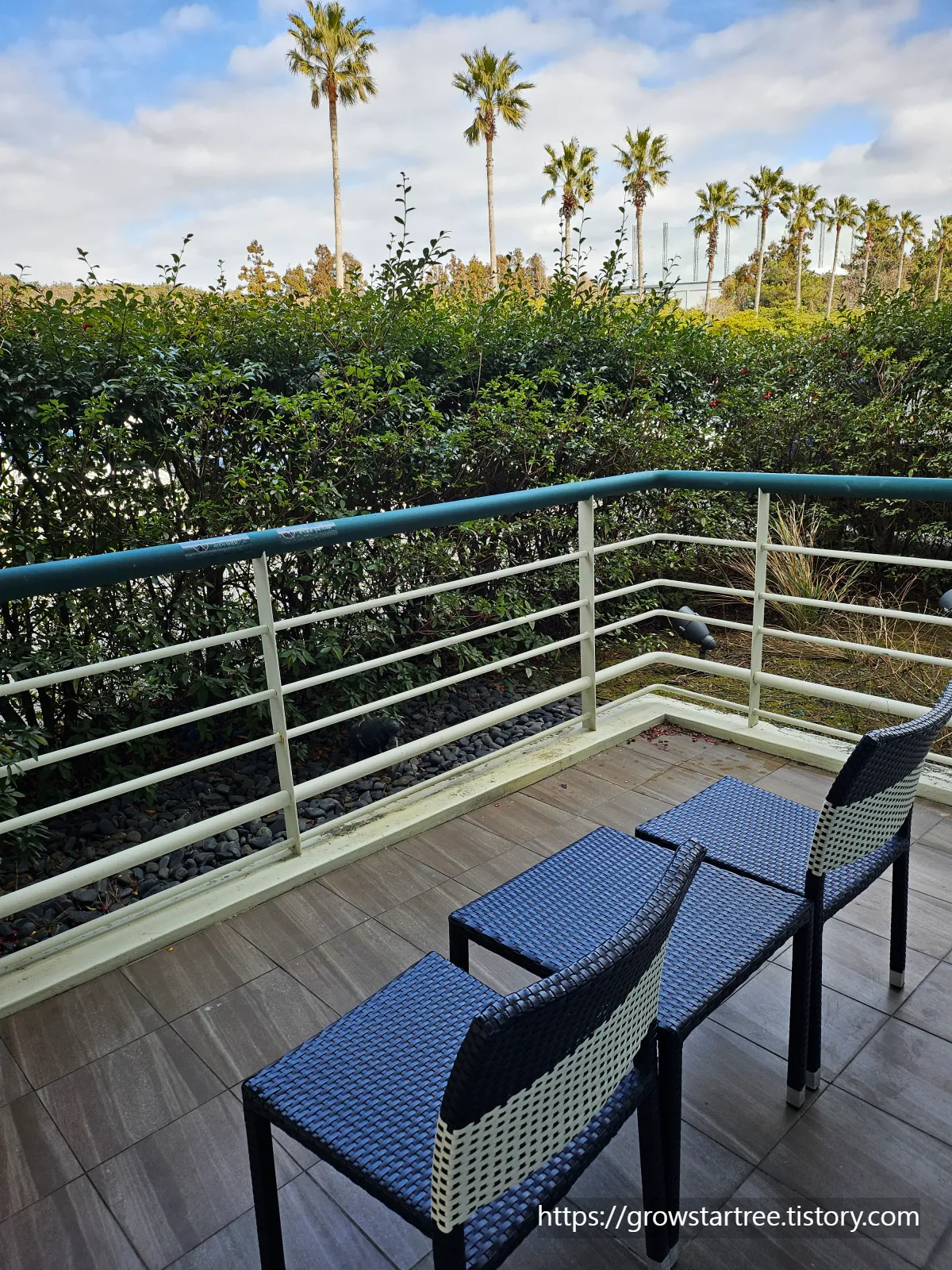 그랜드조선 제주 호텔 디럭스 스탠다드뷰 트윈룸