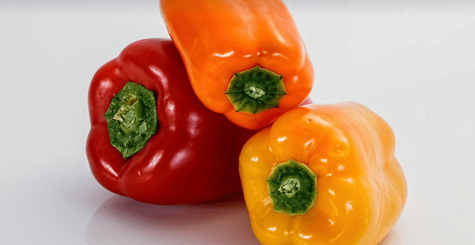 파프리카 사진 - 3