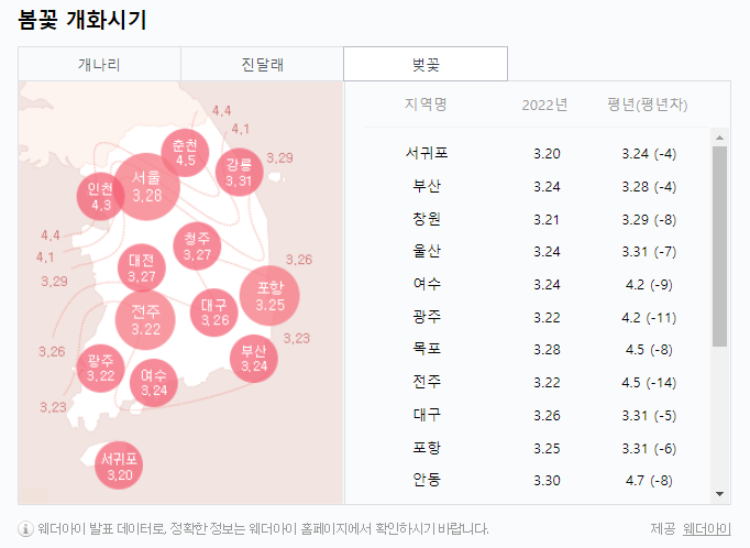 2022벚꽃개화시기