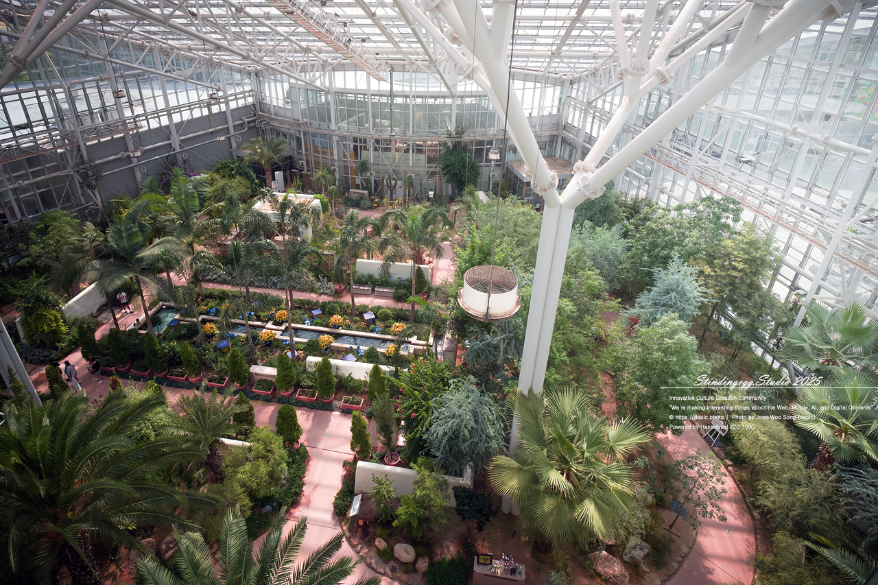 #세종 #수목원 #세종수목원 #온실 #꽃