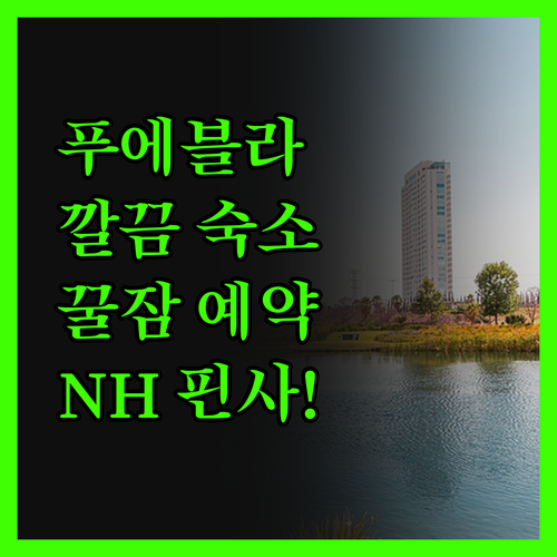 NH 푸에블라 핀사! 깔끔하고 쾌적한