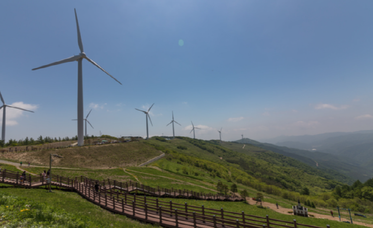 청옥산 육백마지기
