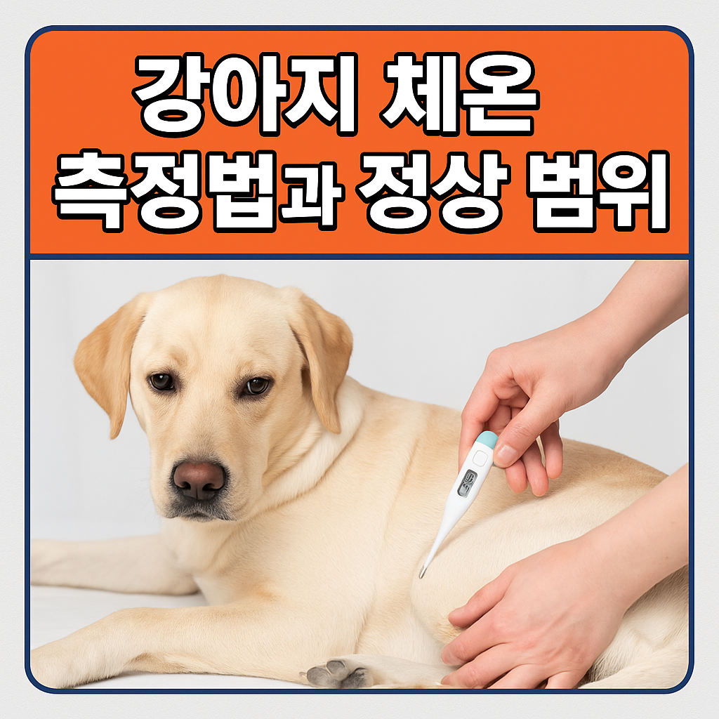 강아지 체온 측정법과 정상 범위