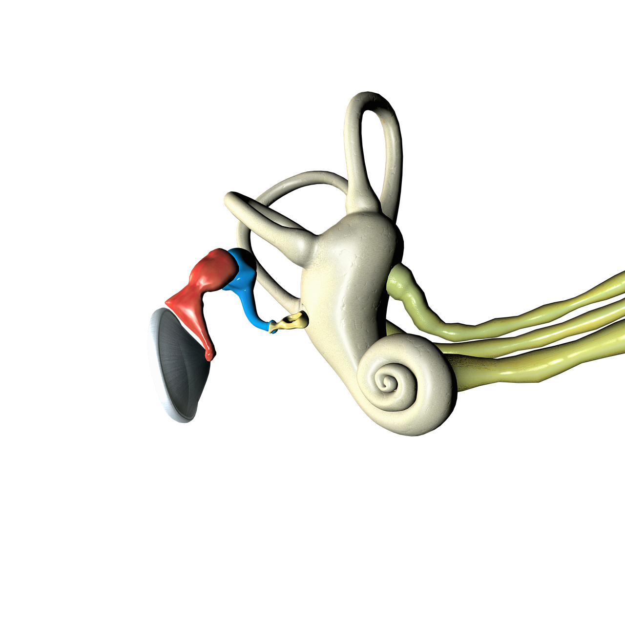 여름철 중이염 예방 방법 총정리! 물놀이 후 귀 건강 지키는 실천 팁