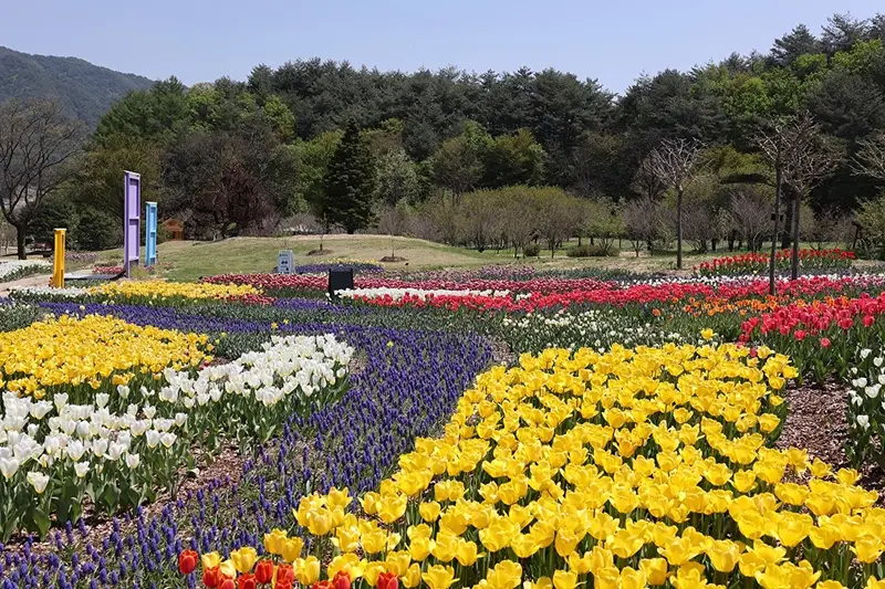 국립백두대간수목원-입장료-무료입장-트램-호랑이-운영시간