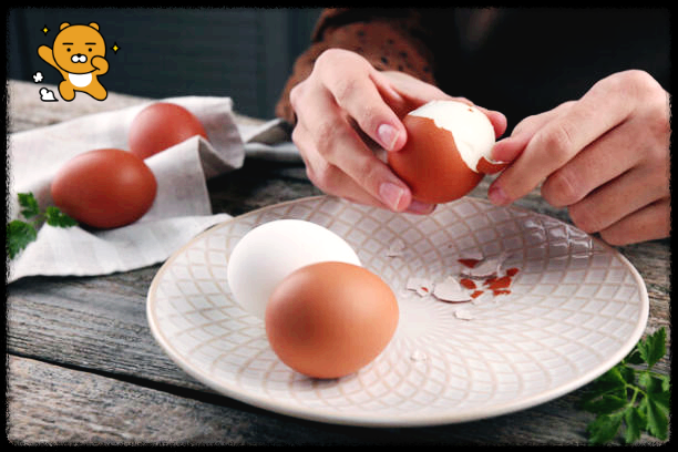 근육 단백질 달걀