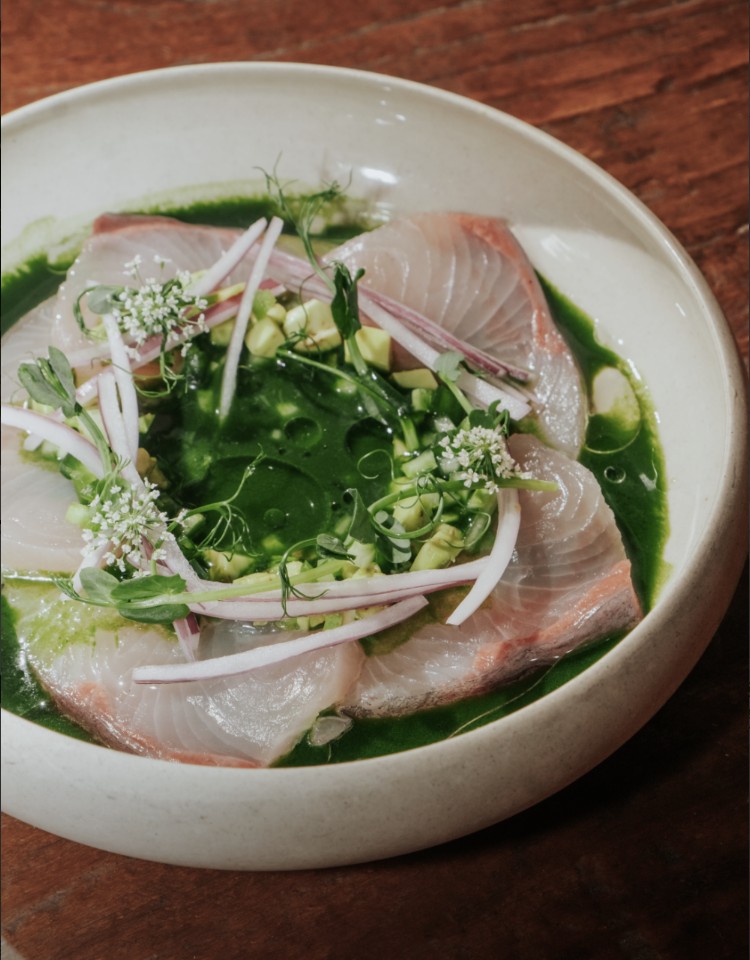 성동구 파인다이닝 타코리아 엘몰리노, 서울에서 진짜 멕시코를 맛보다