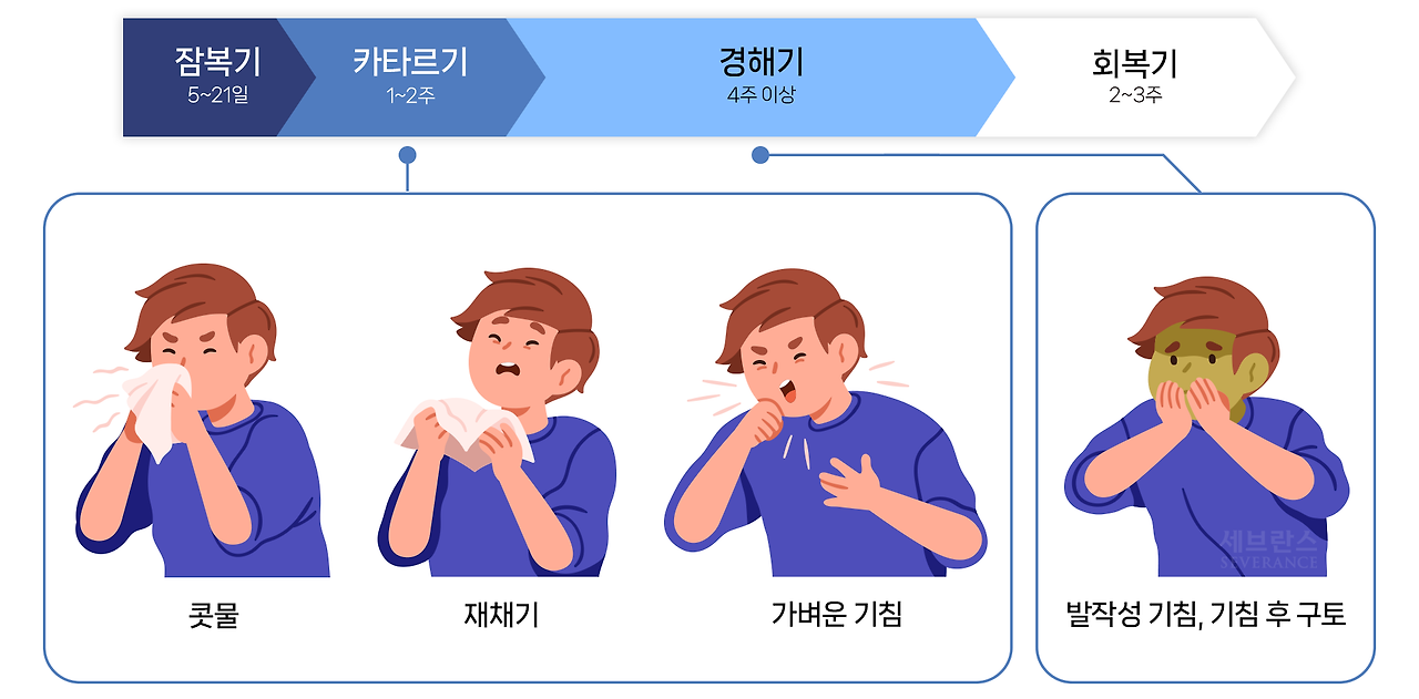 백일해 증상