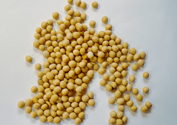 아침 콩물 한 잔: 지금 바로 시작하는 건강 습관!