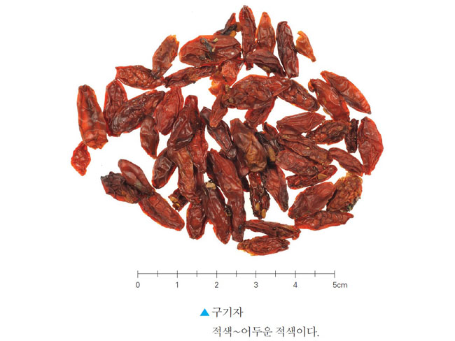 구기자열매