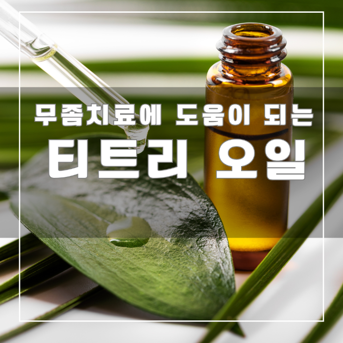 티트리 오일