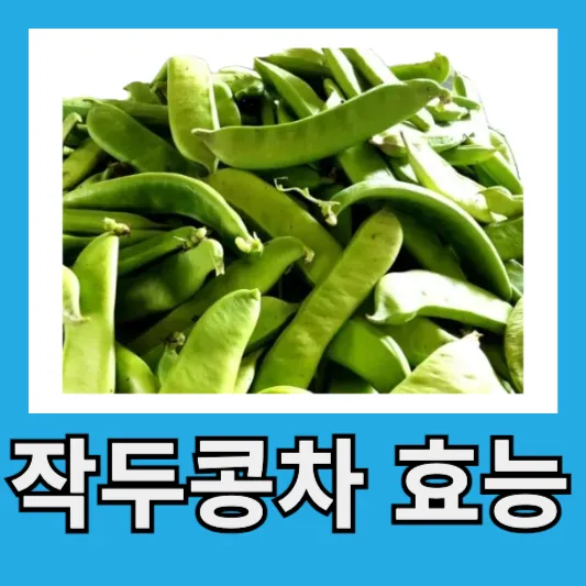 작두콩차 효능