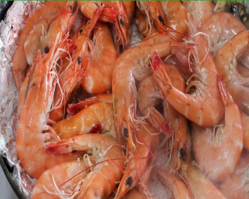 남당항 대하축제_11