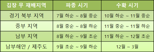 김장 무 수확시기