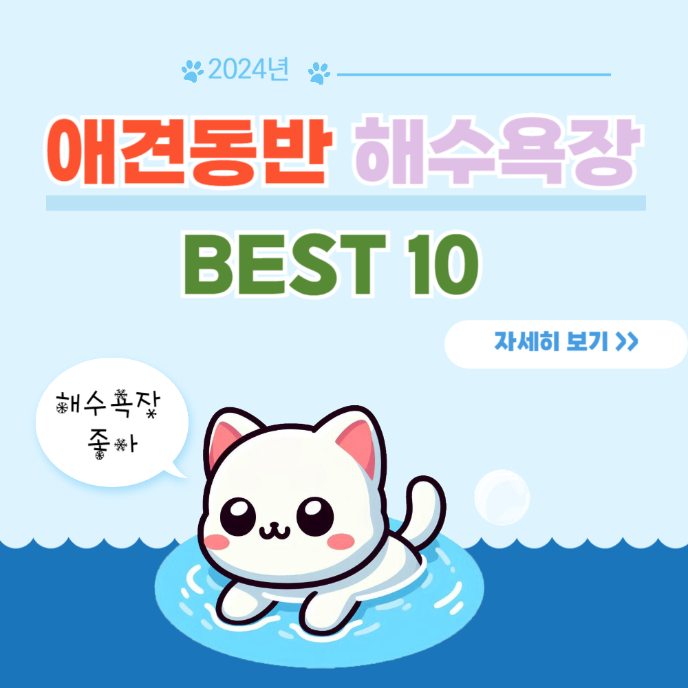 반려견과 함께 떠나는 애견동반 해수욕장 BEST 10