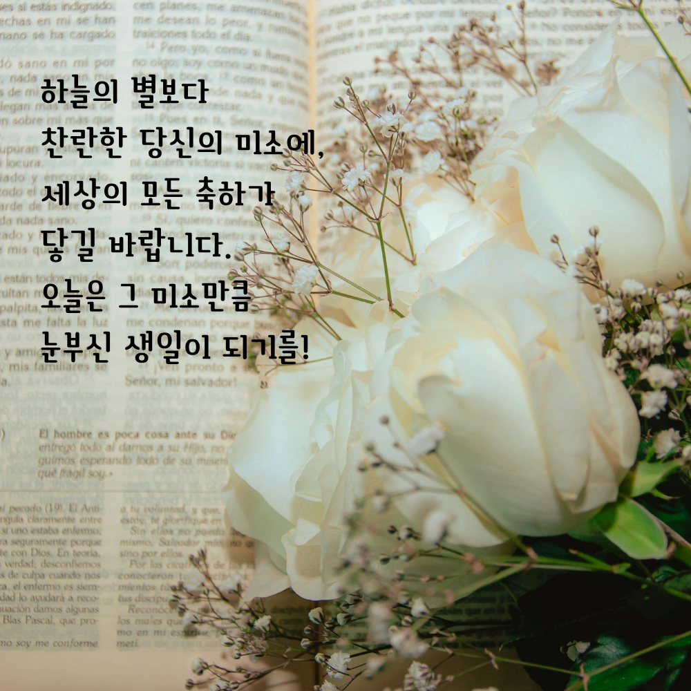 생일 축하 메세지 꽃다발 이미지 그림 사진 모음