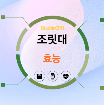 조릿대 효능 탐구