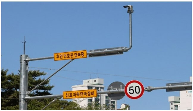 후면 단속 카메라