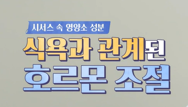 시서스 효능