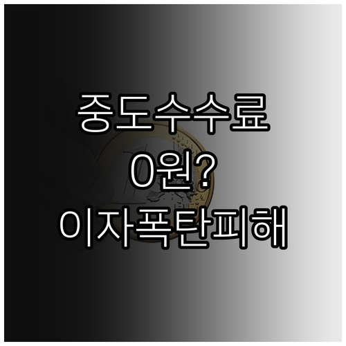 카카오뱅크 마이너스통장 중도상환수수료..