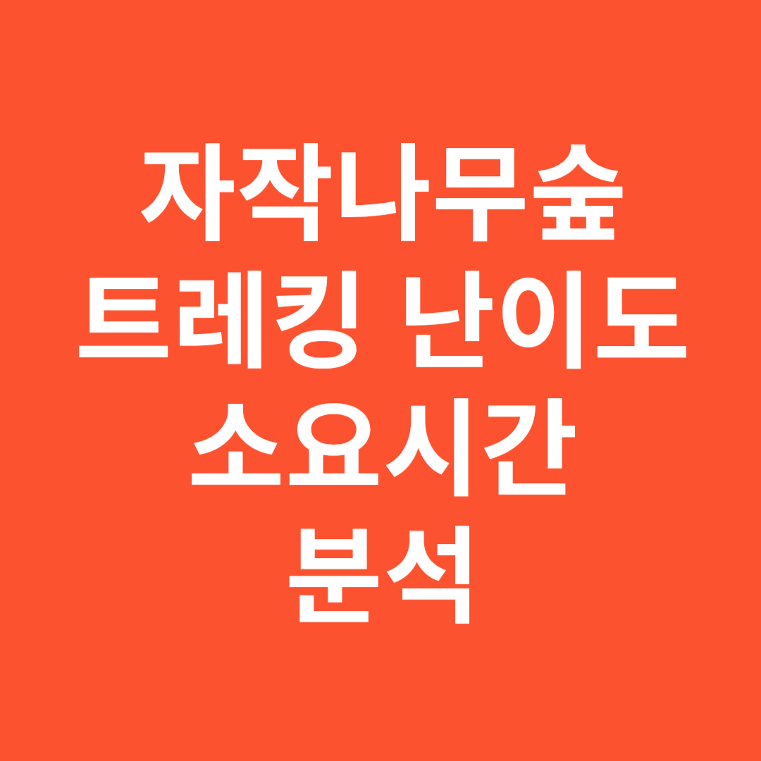 자작나무숲 트레킹 난이도와 소요시간 분석