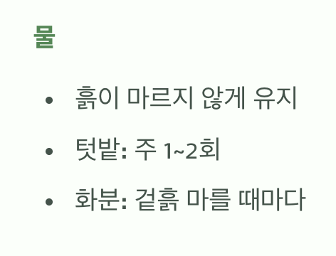 물과 햇빛, 가장 기본적인 관리