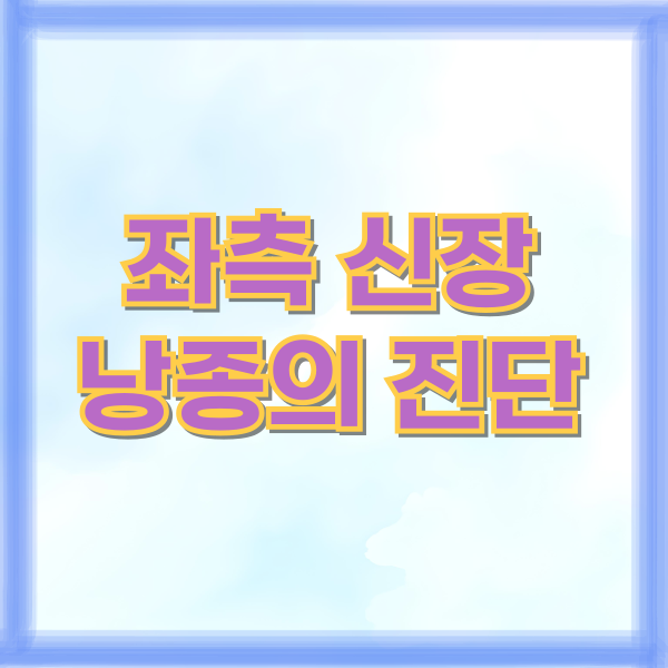 좌측 신장 낭종