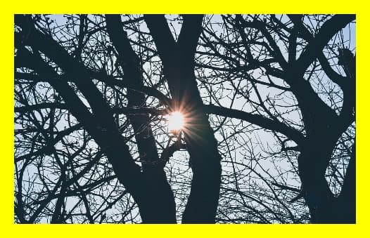 K-ESG 자가진단 결과를 입찰 제안서에 반영하는 방법