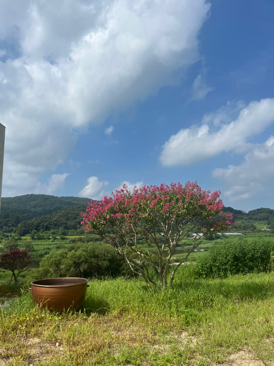 세종시 부강면 카페 노호 대형 베이커리