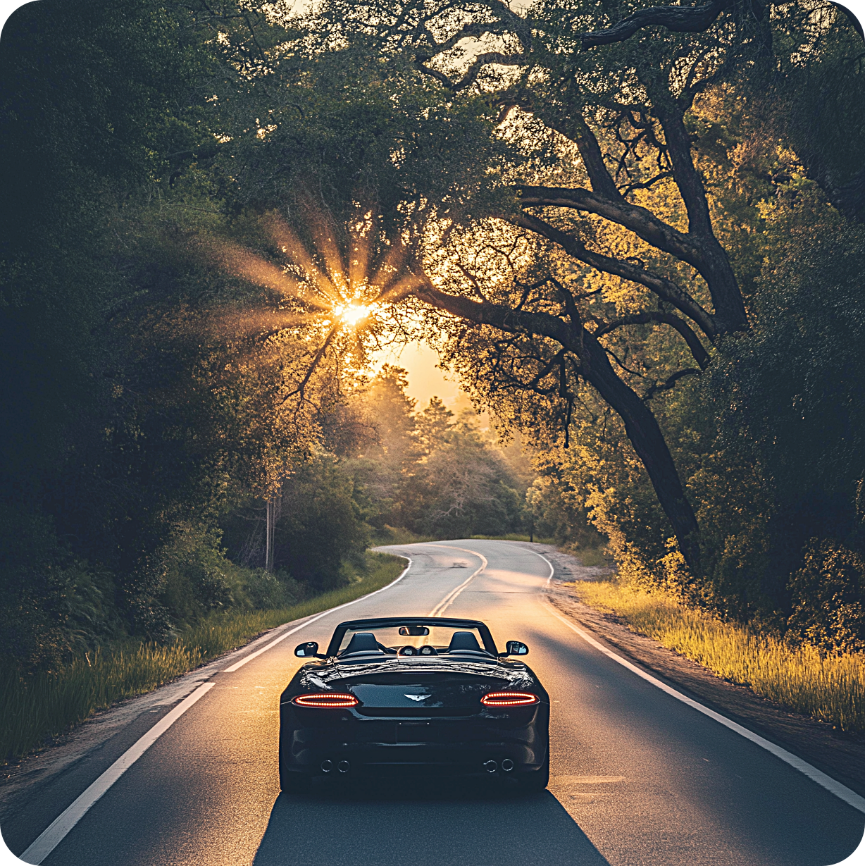 고속도로 통행료 미납 조회 및 납부 방법 