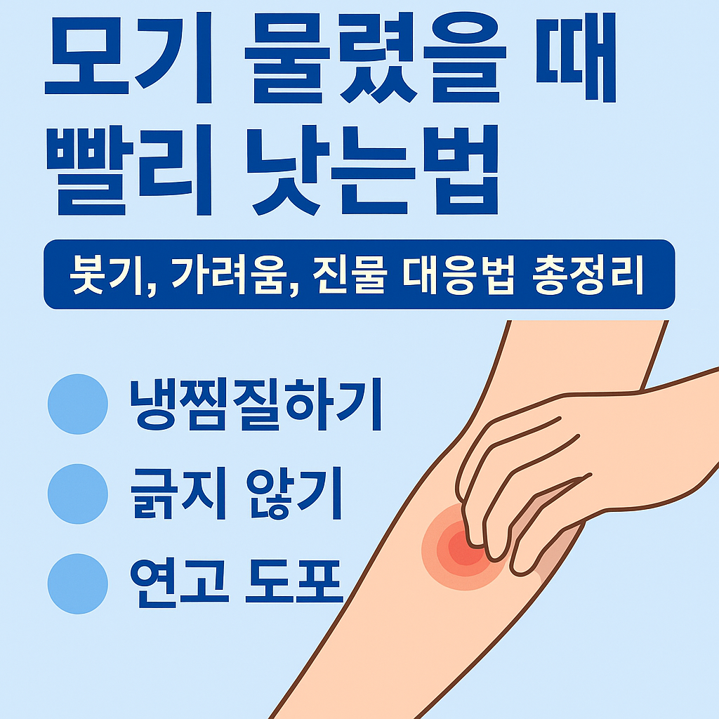 모기 물렸을 때 빨리 낫는법 대표 이미지