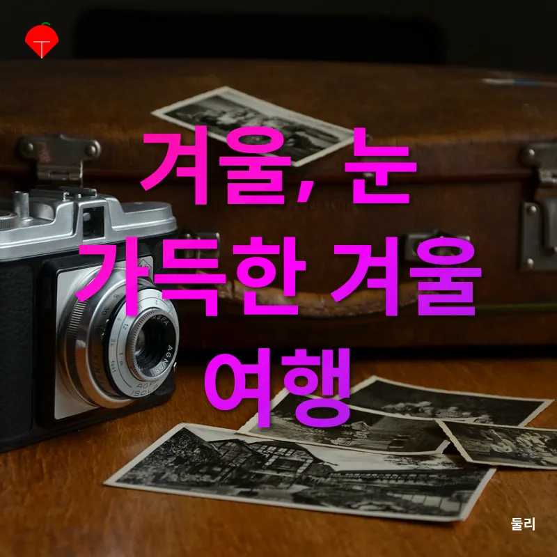 계절별 사진 촬영_4