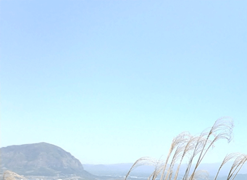 홀로떠나는제주자유여행_송악산둘레길