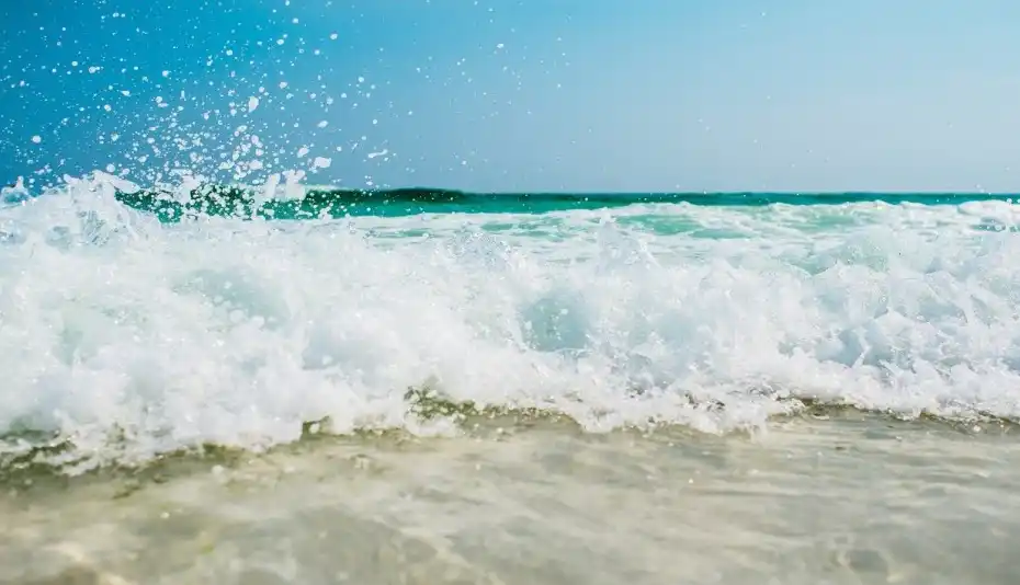 파도가 치는 바다