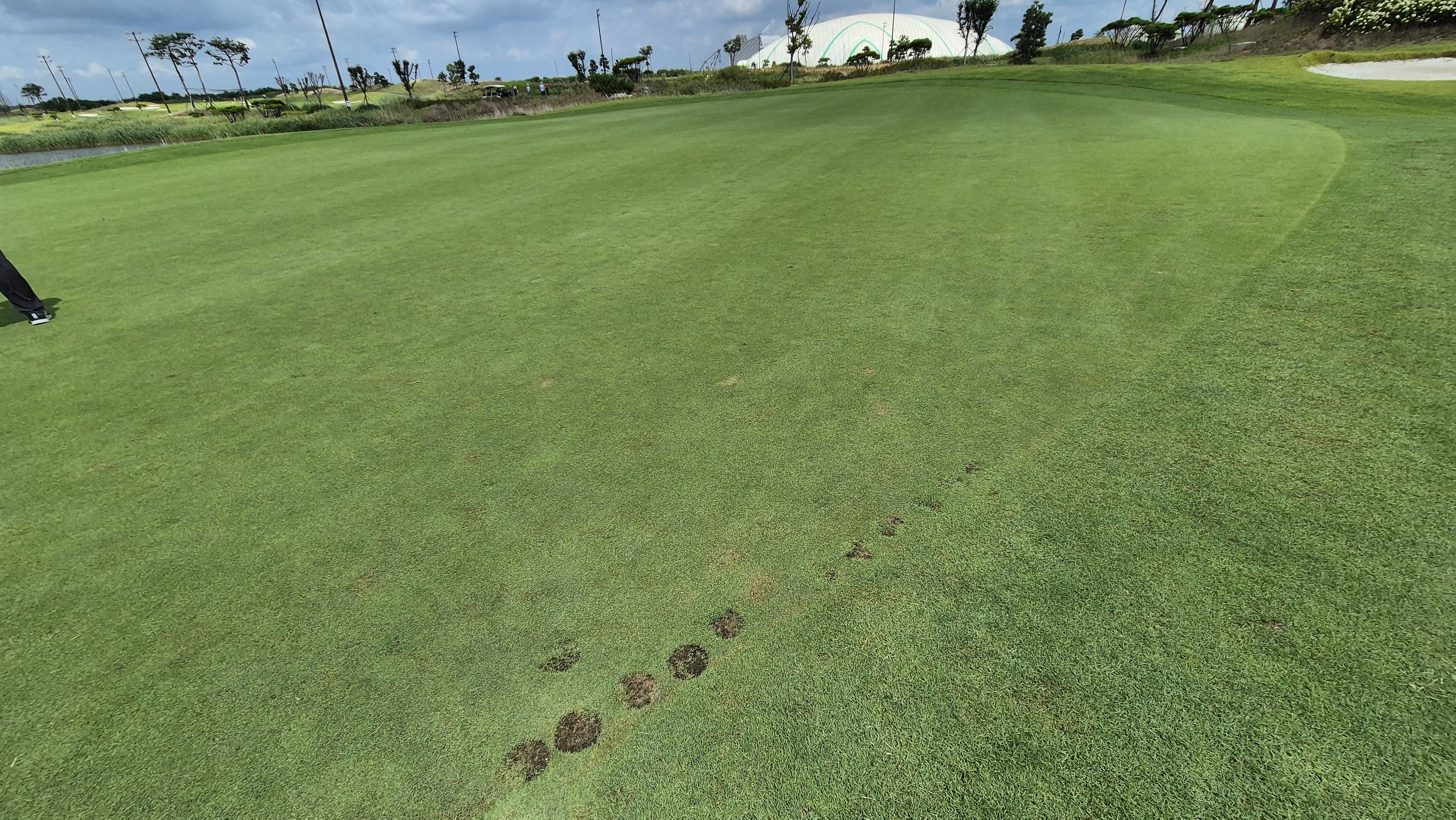 플라밍고cc 듄스-링크스 코스 라운드 후기