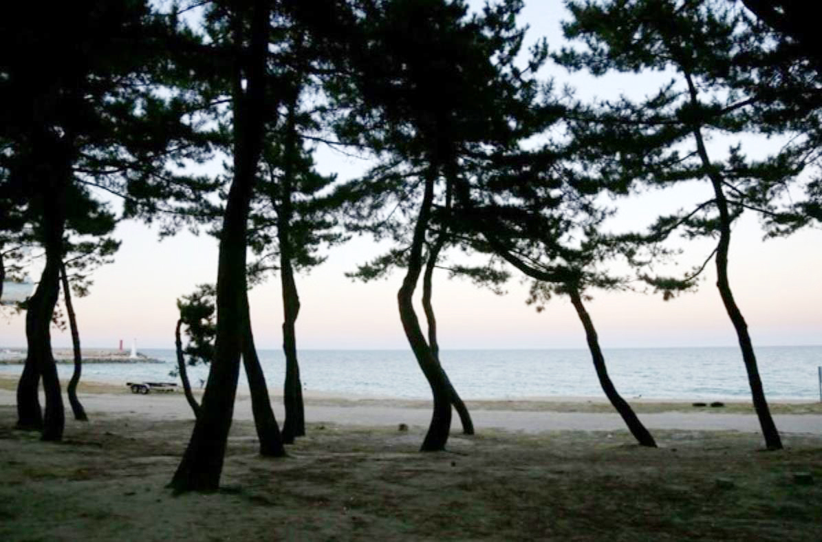 강릉 사천해변