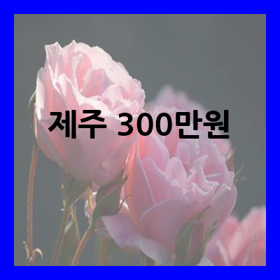 제주 삼백만원