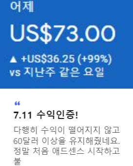 애드센스_수익