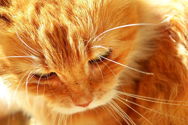 기타 원인과 대처 방법