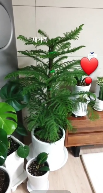 처음 왓을때의모습