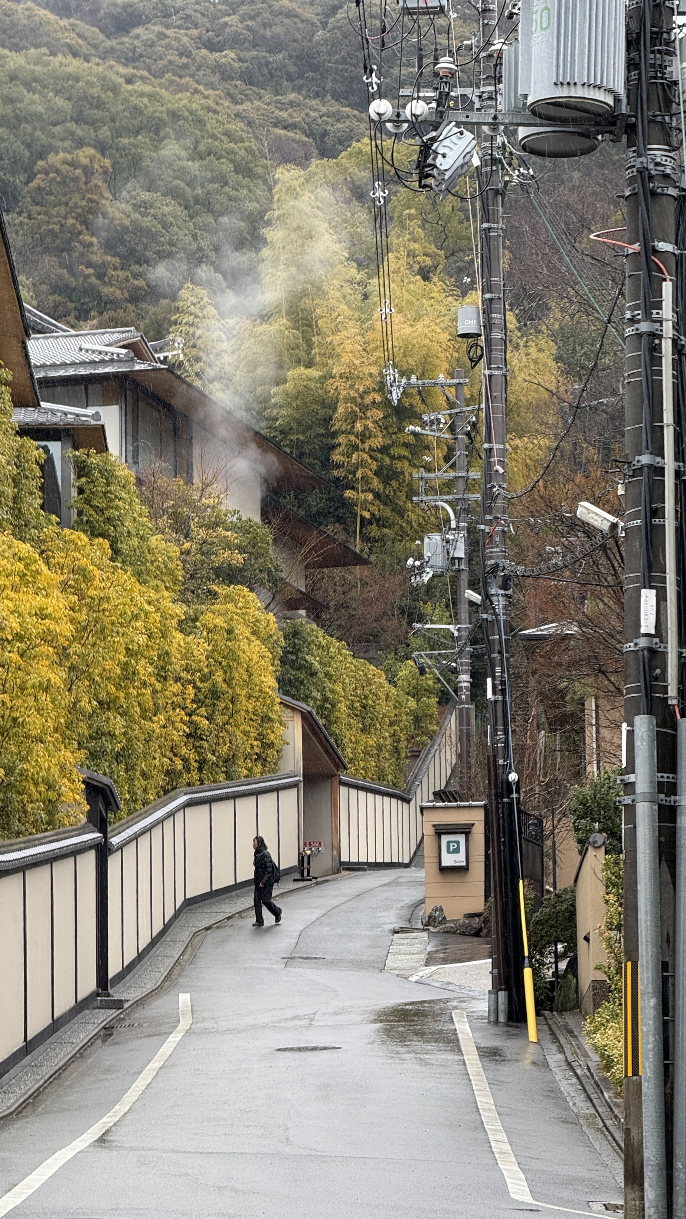 교토여행-기요미즈데라-가이세키-점심-파크-하얏트-교토