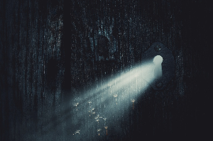 집먼지 알레르기 줄이는 방법!! 생활 습관부터 선택 관리까지&amp;#44; 집에서 할 수 있는 정리 가이드