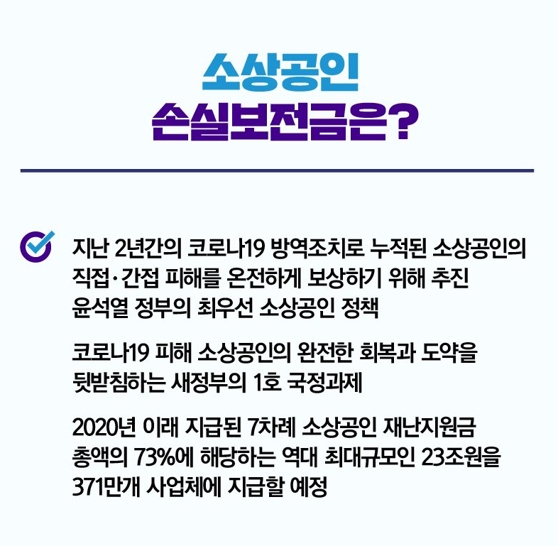 손실보전금