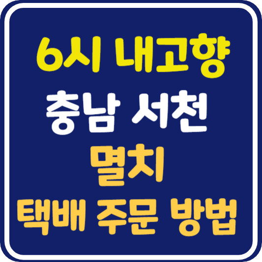 6시 내고향 충남 서천 멸치 택배 주문 방법