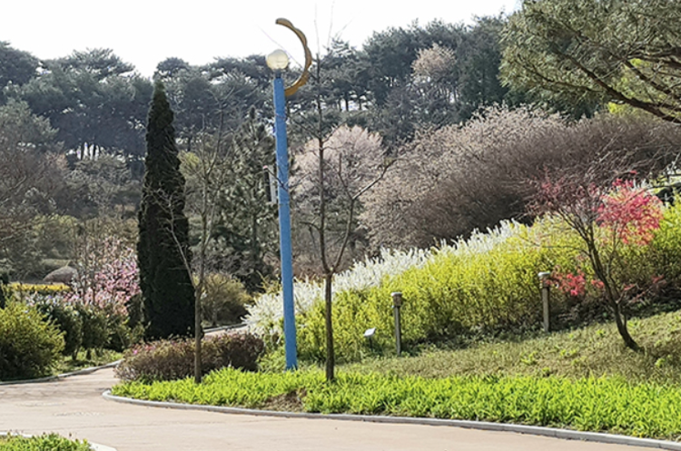 태안 안면도 수목원