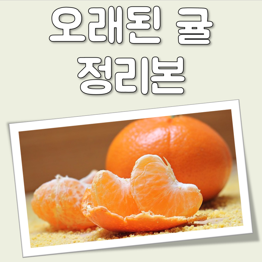 오래된 귤 종류별 특징과 부작용 정리 대표 이미지