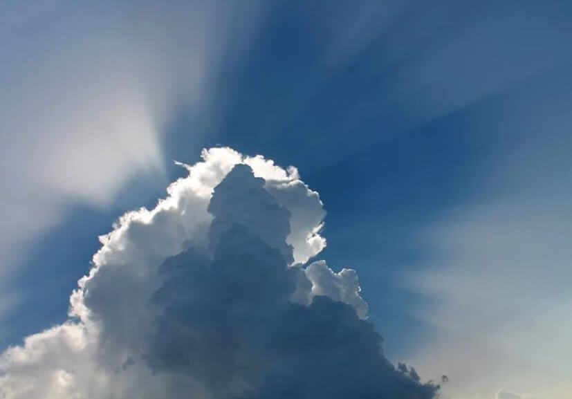 하늘에서떨어지는조개를받아먹는꿈